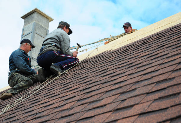 Best Roof Gutter Cleaning  in Liberty, NC